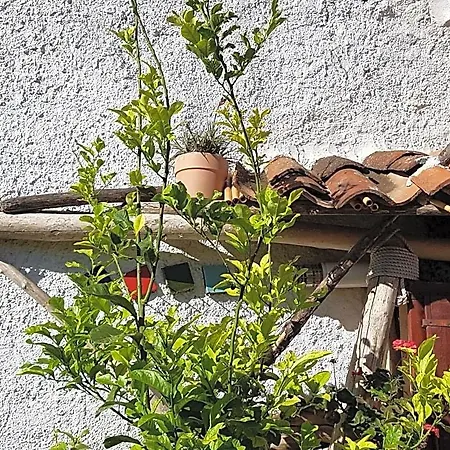 Limolo Frühstückspension
