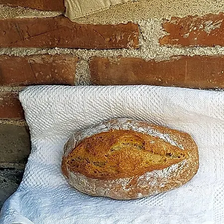 Limolo